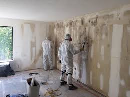 Best Black Mold Removal  in Archie, MO